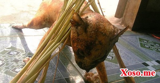 Mơ thấy ăn thịt mèo – Chiêm bao thấy ăn thịt mèo đánh con gì?