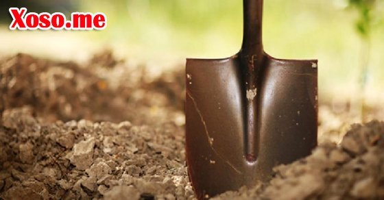 Nằm mơ thấy cái xẻng đánh con gì? Chiêm bao thấy cái xẻng báo điềm gì?