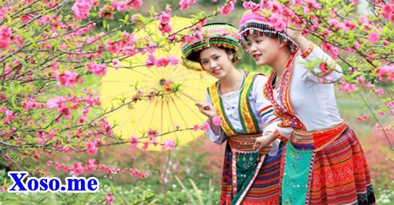 Mơ thấy chơi xuân – Chiêm bao thấy chơi xuân đánh con gì?
