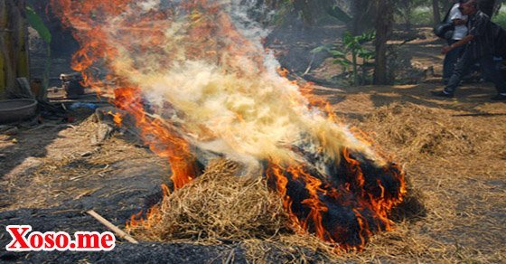 Mơ thấy cháy đống rơm – Chiêm bao thấy cháy đống rơm đánh con gì?