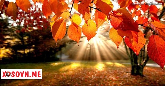 Mơ thấy mùa thu – Chiêm bao thấy mùa thu đánh con gì?