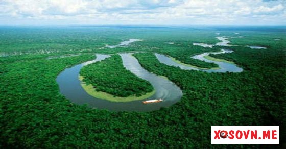 Mơ thấy sông ngòi – Giải mộng chiêm bao thấy sông ngòi là điềm báo gì?