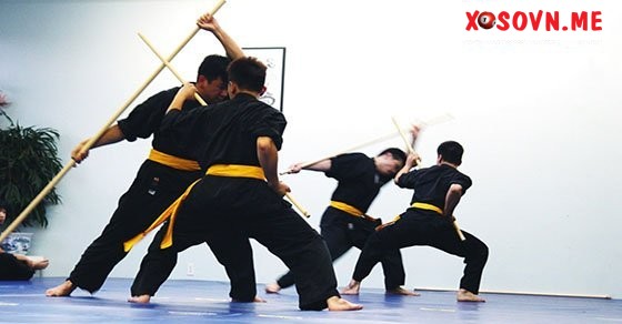 Mơ thấy võ – Chiêm bao thấy võ đánh con gì?