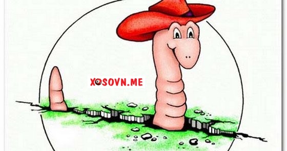 Mơ thấy giun có ý nghĩa may mắn không?​