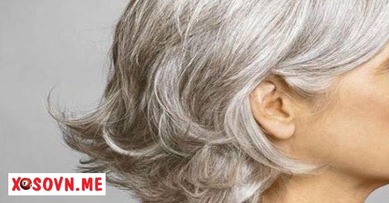 Mơ thấy tóc bạc là có vấn đề lo nghĩ