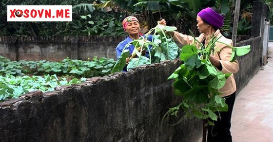 Mơ thấy sang nhà láng giềng 